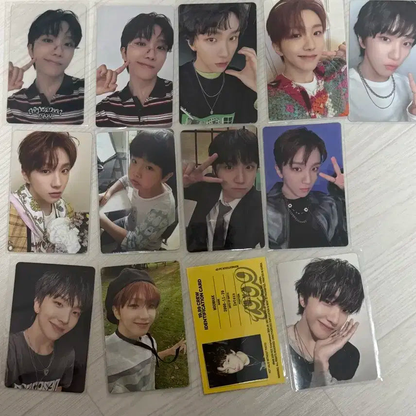 보넥도 운학 포카 일괄 양도