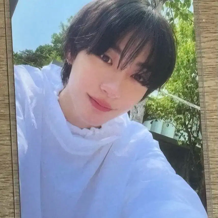 라이즈 겟어기타 앨범포카 앤톤