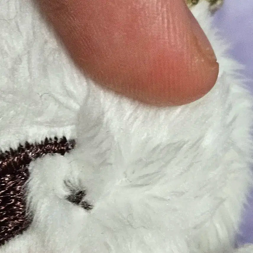 우지 인형 뾰냥이 세븐틴