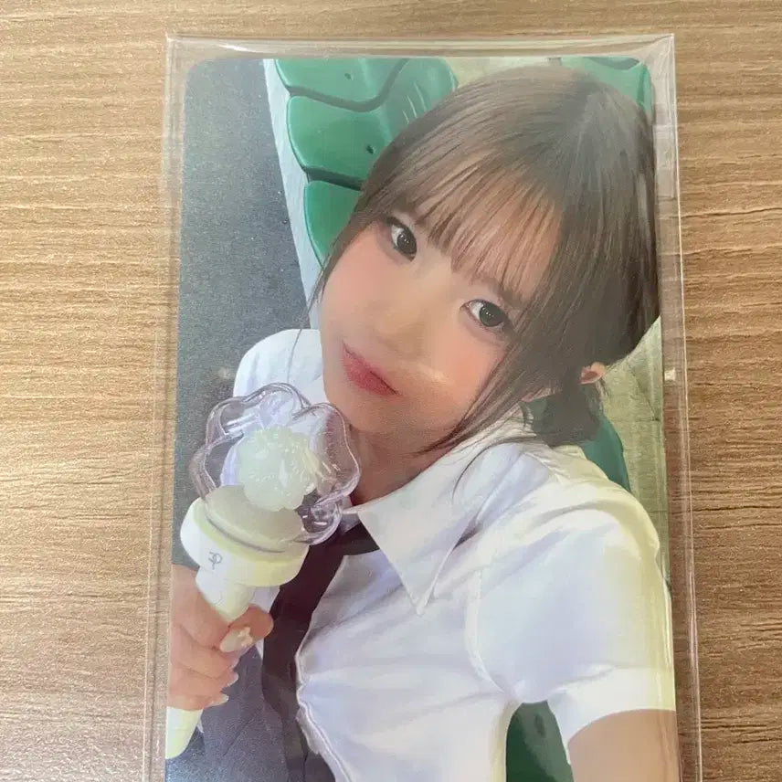 프로미스나인 응원봉 포카 일괄