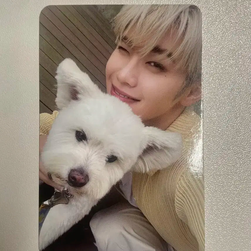 제베원 정규 1집 김태래 디지팩 단체반 레오 포카