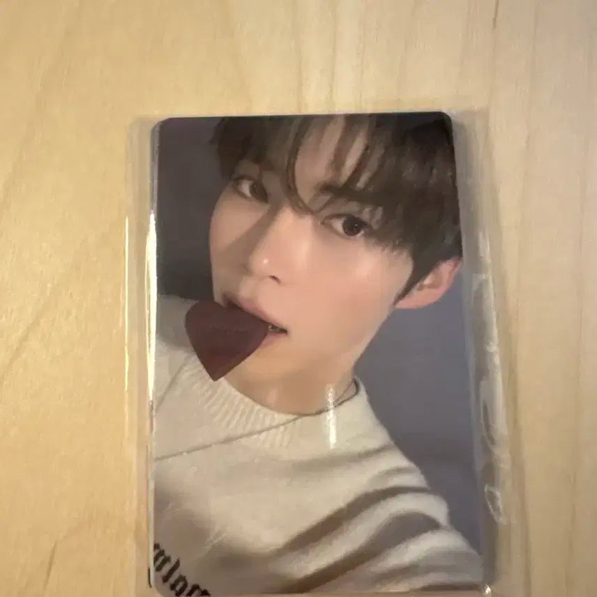 제로베이스원 로즈데이 쿠키 포카 판매