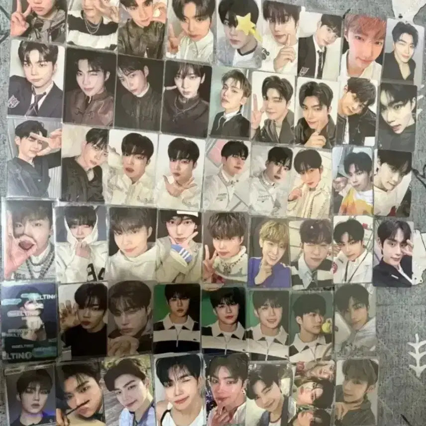 제베원 포카 일괄 판매