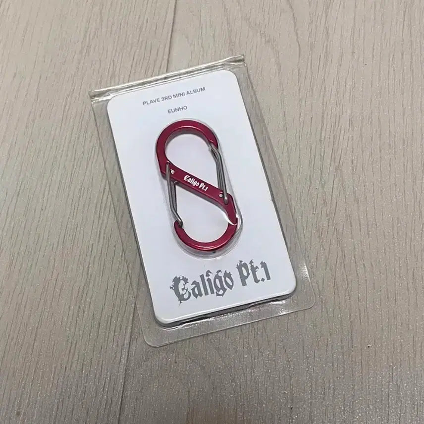 플레이브 대쉬 은호 카라비너