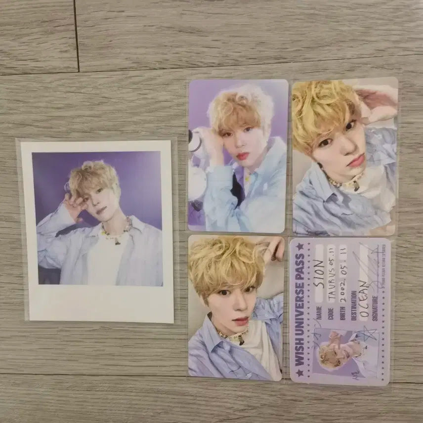 엔시티위시 시그 시온 양도