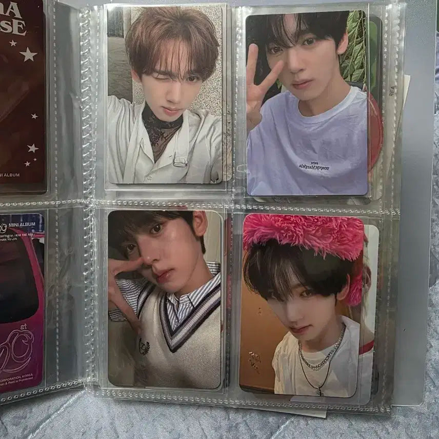 제베원 앨범 및 포카 일괄 판매합니다