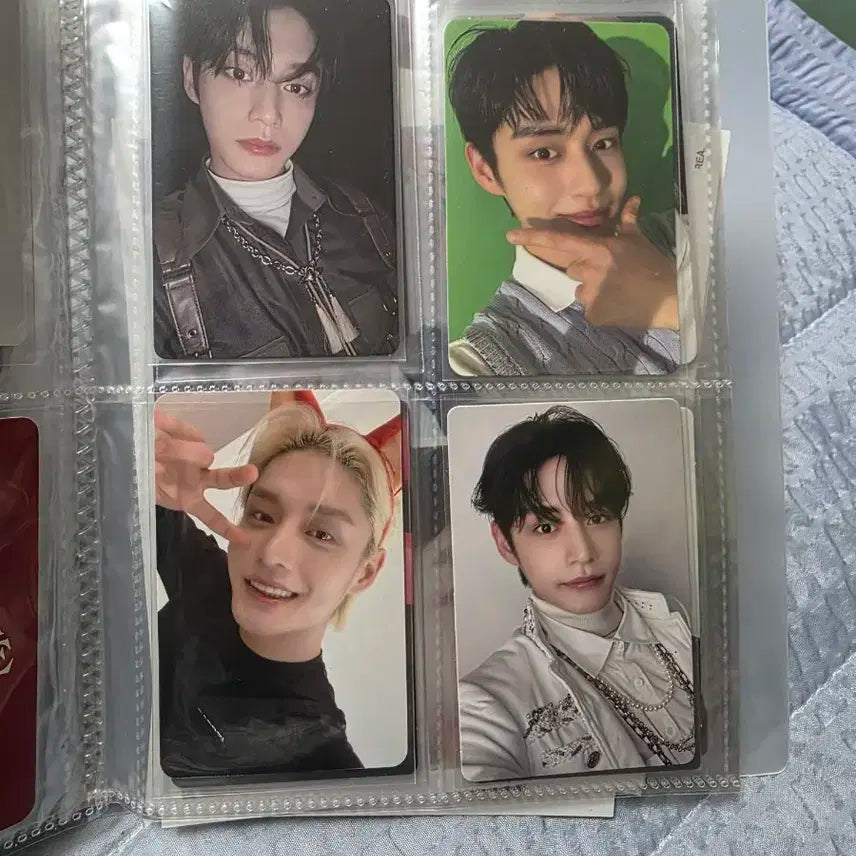 제베원 앨범 및 포카 일괄 판매합니다