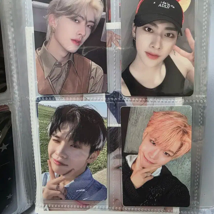 제베원 앨범 및 포카 일괄 판매합니다