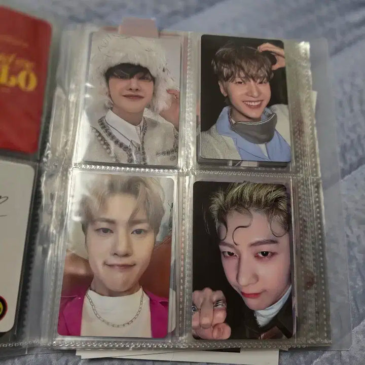 제베원 앨범 및 포카 일괄 판매합니다