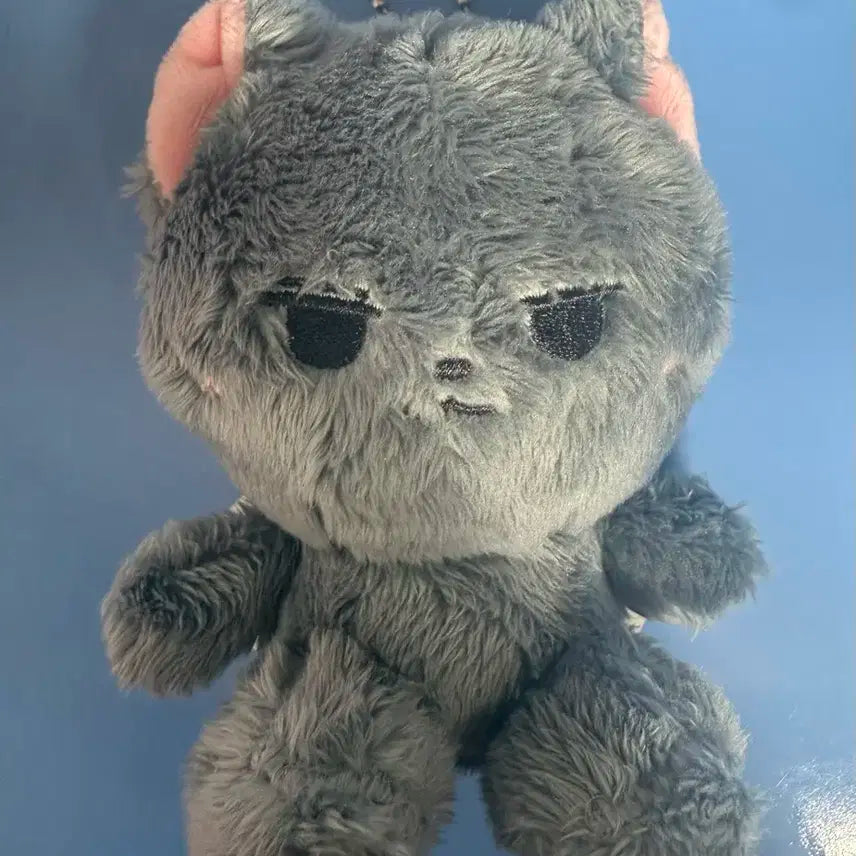 세븐틴 원우 인형 전복이 양도(최저가)