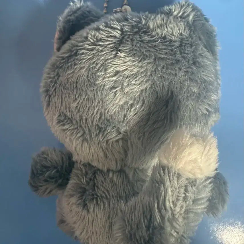 세븐틴 원우 인형 전복이 양도(최저가)