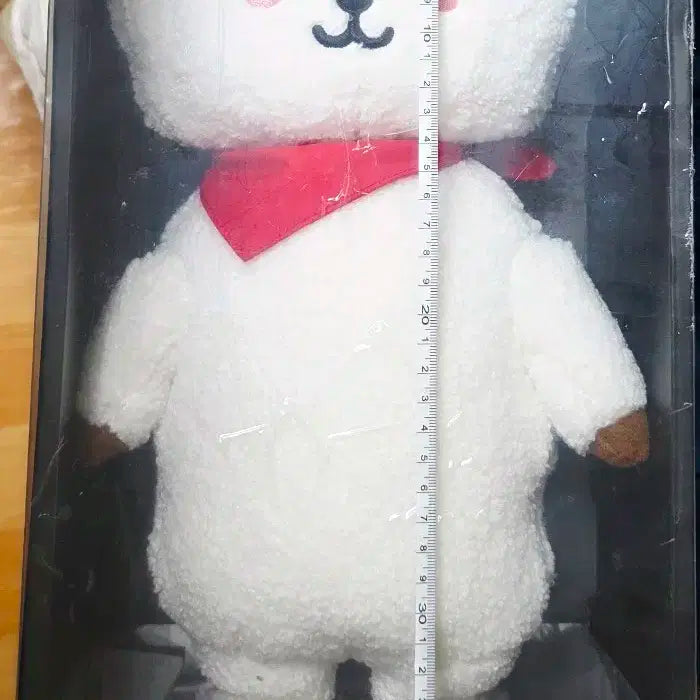 bt21 점보 알제이 진 rj