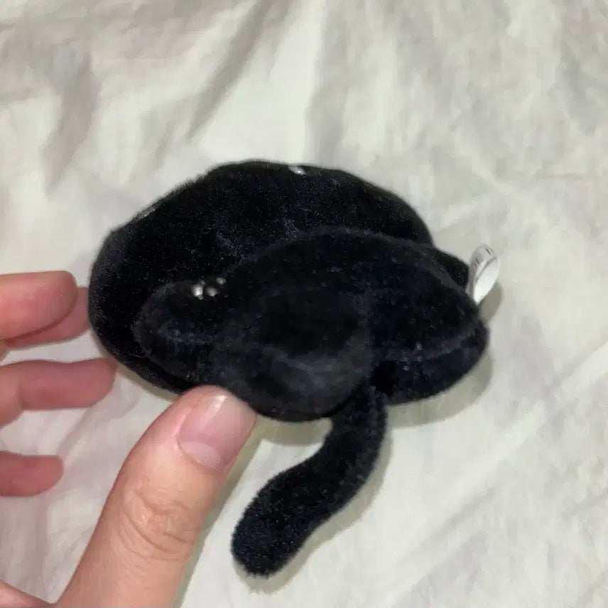 몬스타엑스 아이엠 비공굿 인형 균짱이