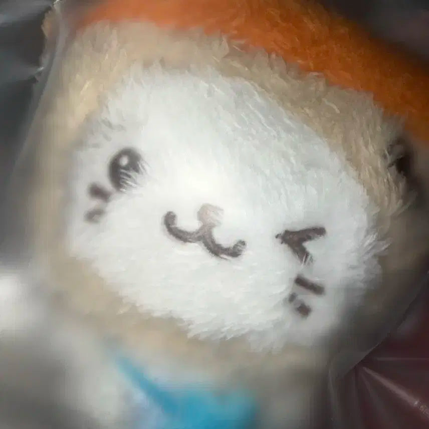 엔시티위시 위시돌 버블냥