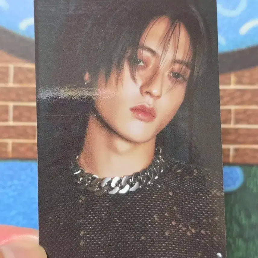 [트레저] 트루즈 플래닛 하루토 포카 양도