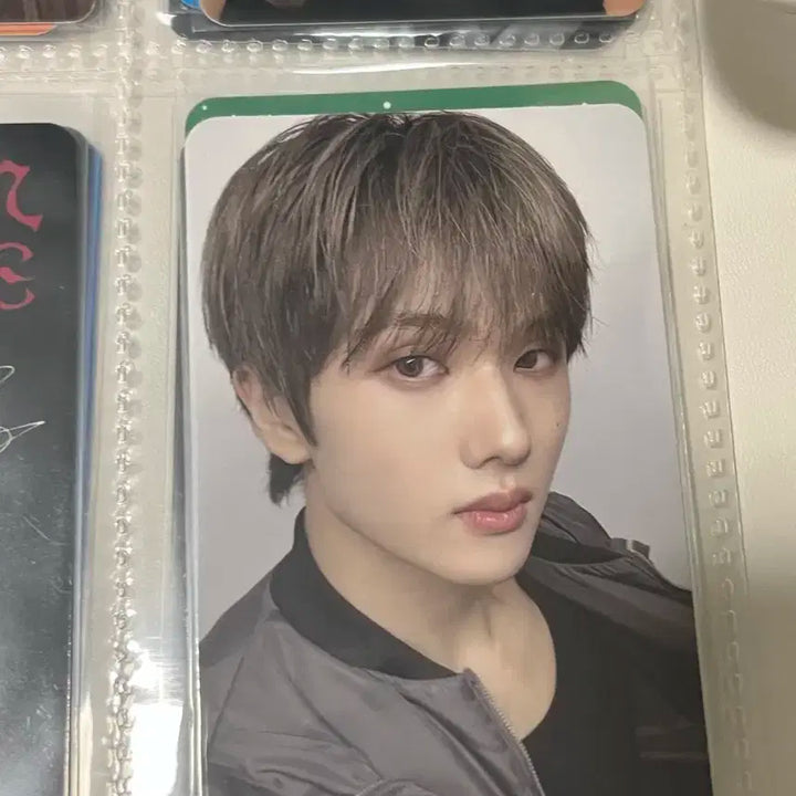 엔시티 지성 포카 지성 포토카드 엔시티드림