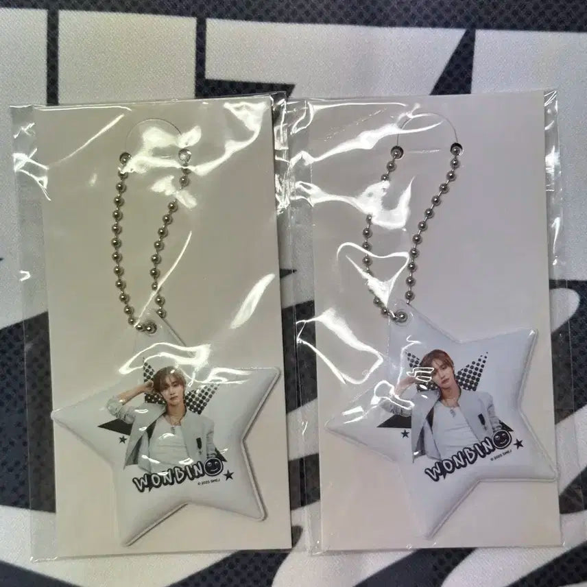 라이즈 일본 투어 회징한정 랜덤토이 양도 원빈