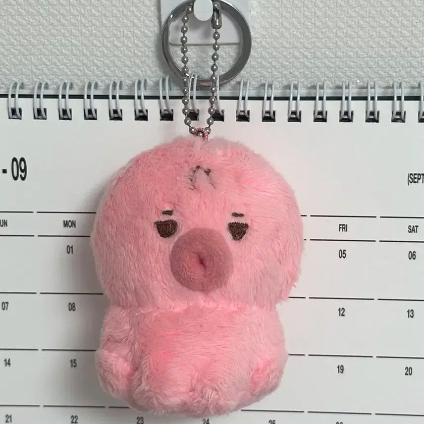 떤코 양도 더보이즈 선우 인형