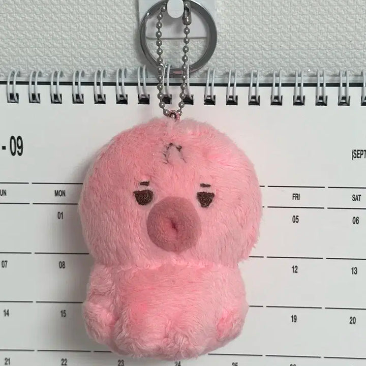 떤코 양도 더보이즈 선우 인형