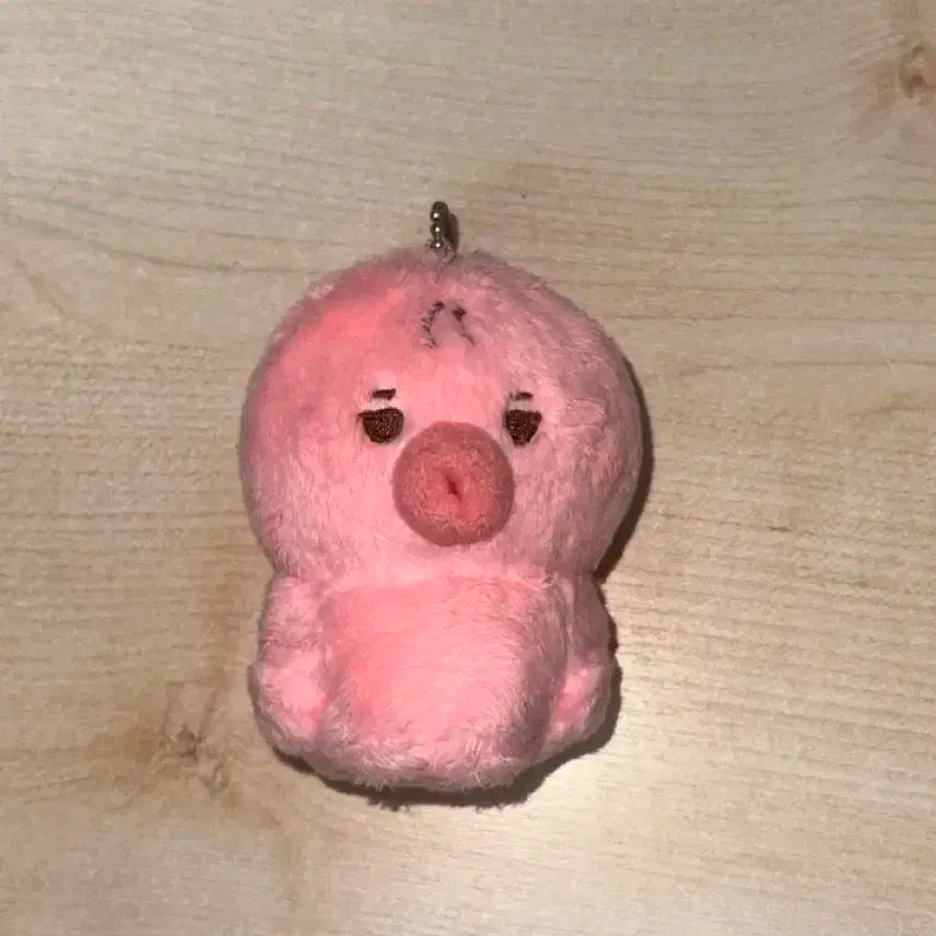 떤코 양도 더보이즈 선우 인형