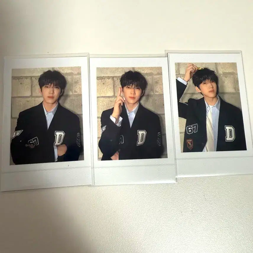 데이식스 틴케이스 폴라로이드 포카 도운 일괄