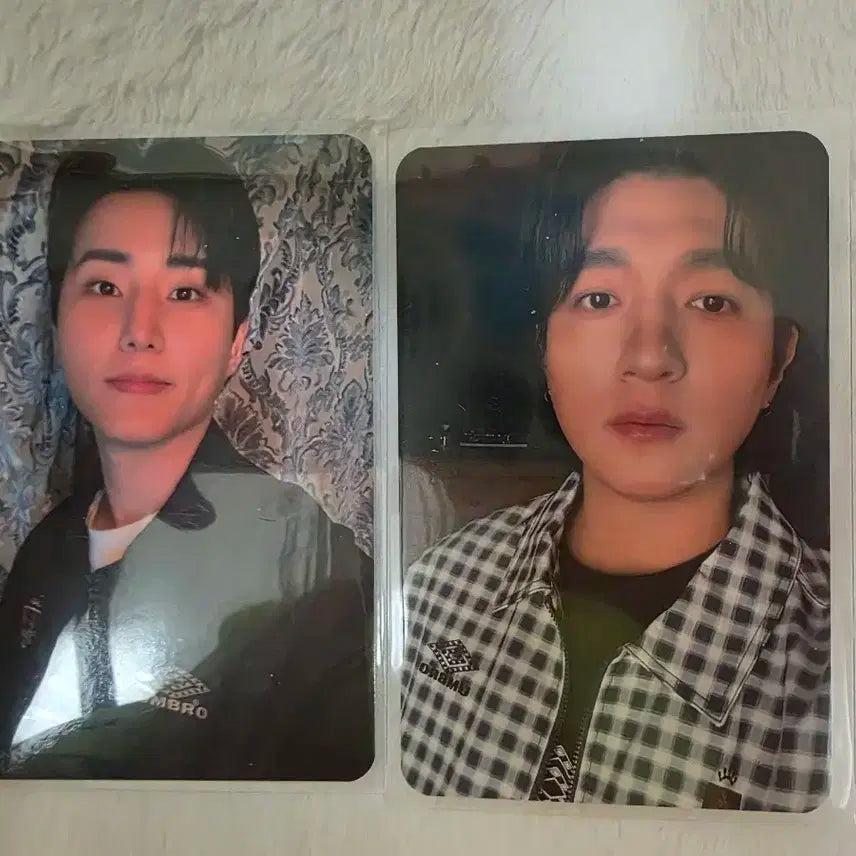 데이식스 엄브로 포카 영케이.성진