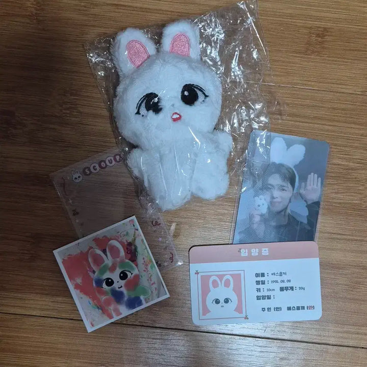 세븐틴 비공굿 인형 쿱끼 양도