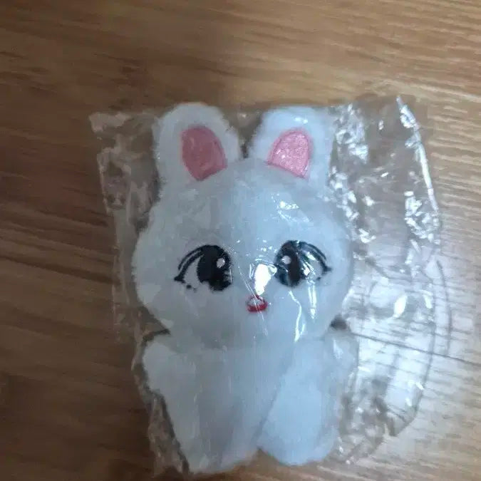 세븐틴 비공굿 인형 쿱끼 양도