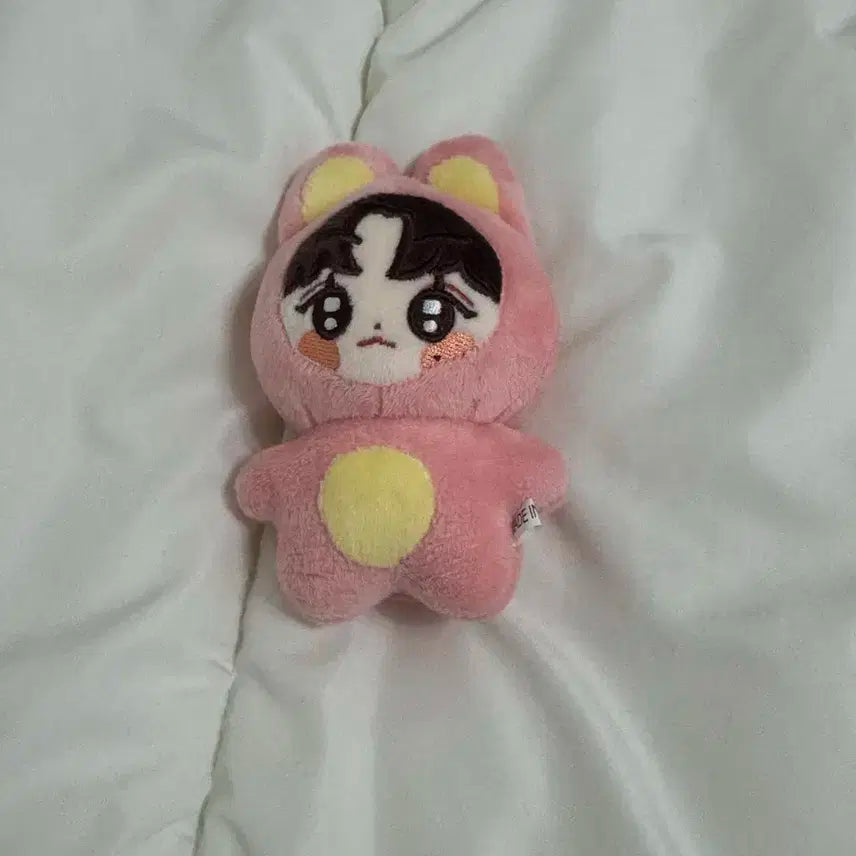 라이즈 원빈 베이비라이즈 뽀빈이