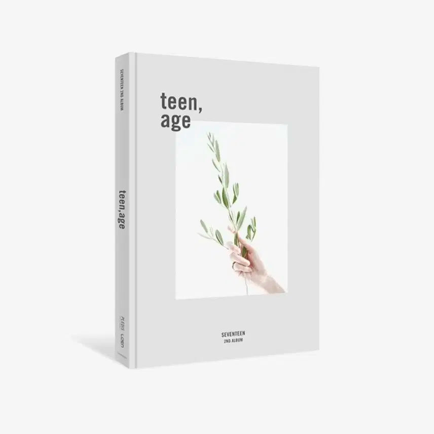 세븐틴 teen,age 2집 앨범