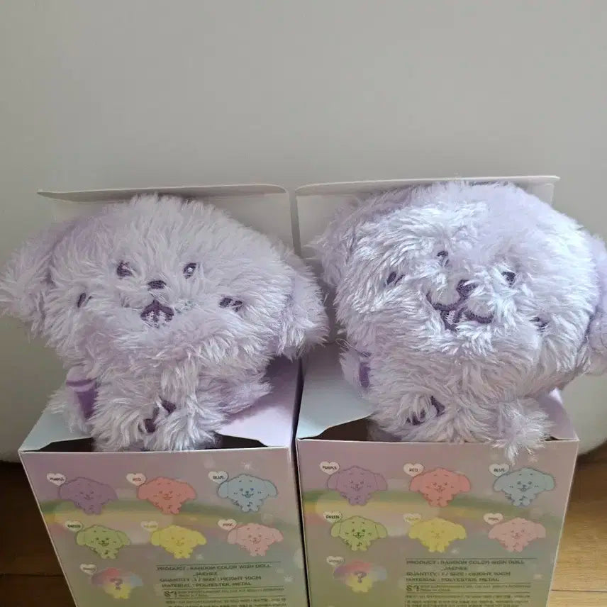 컬러 위시돌 댕트리버 보라