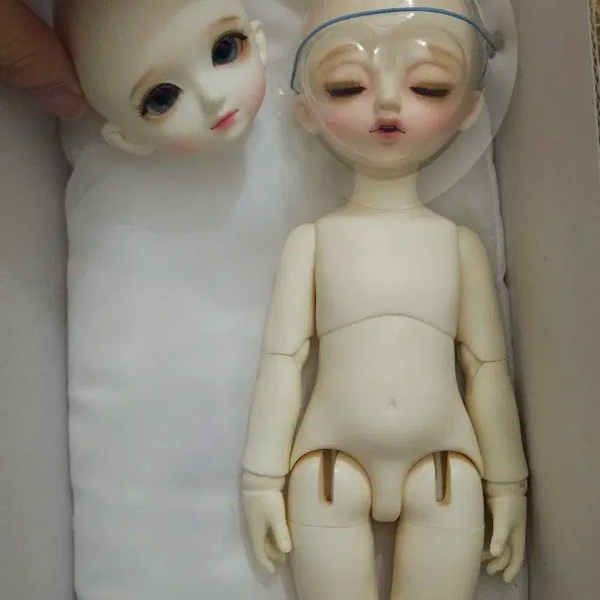 미야돌 슬리핑 치치 미백+루츠 아루 미백헤드