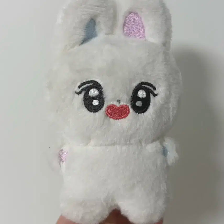 엔믹스 설윤 설끼 팔아용