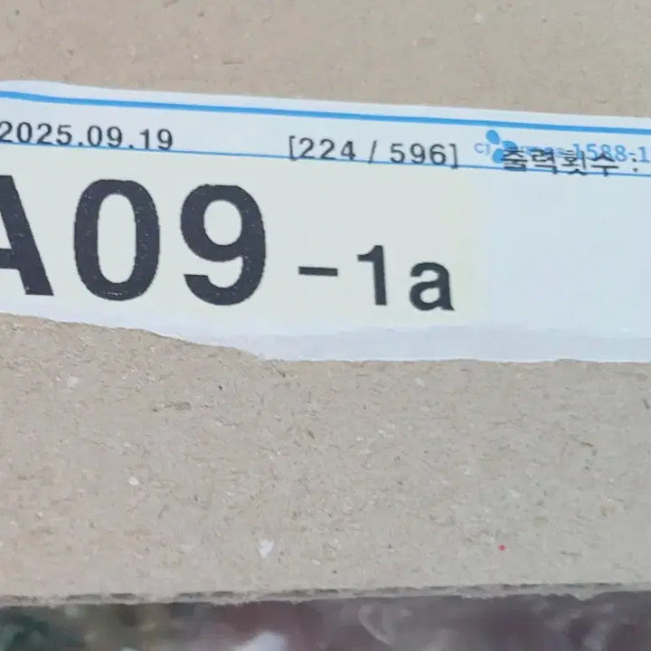 디무 팝핀 커피 공장 시리즈