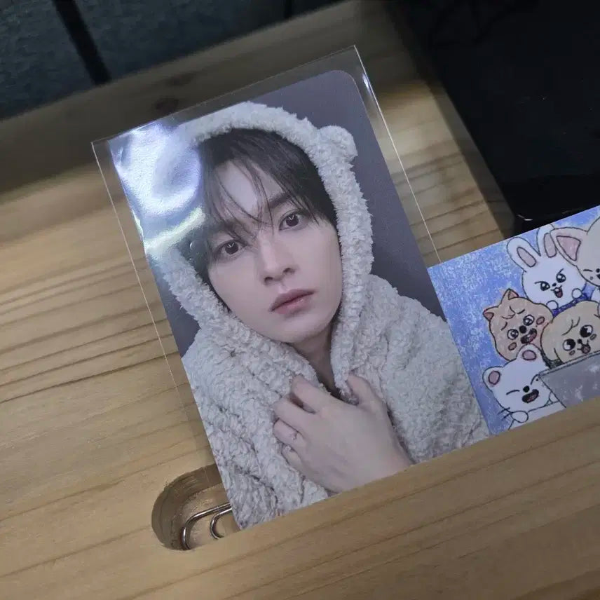 리노 프리리스닝 포카