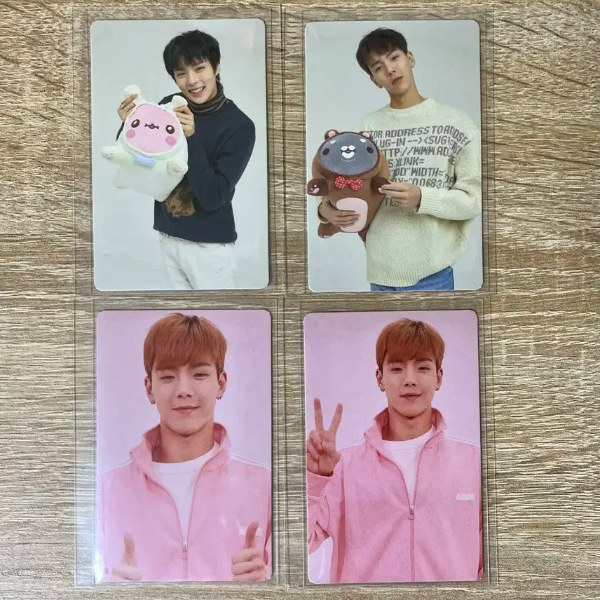 몬스타엑스 몬엑 투턱곰 포카 일괄