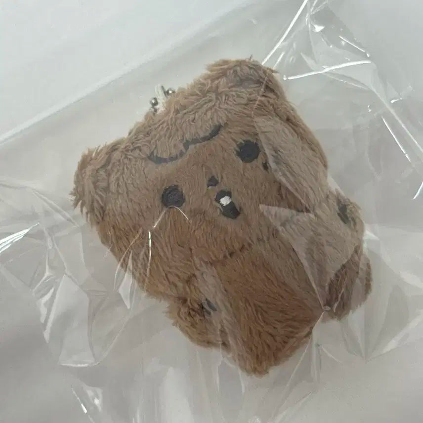 해찬 미니 인형 키링 풀썸머님 특전