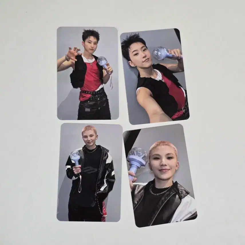 세븐틴 호우 콘서트 캐럿존