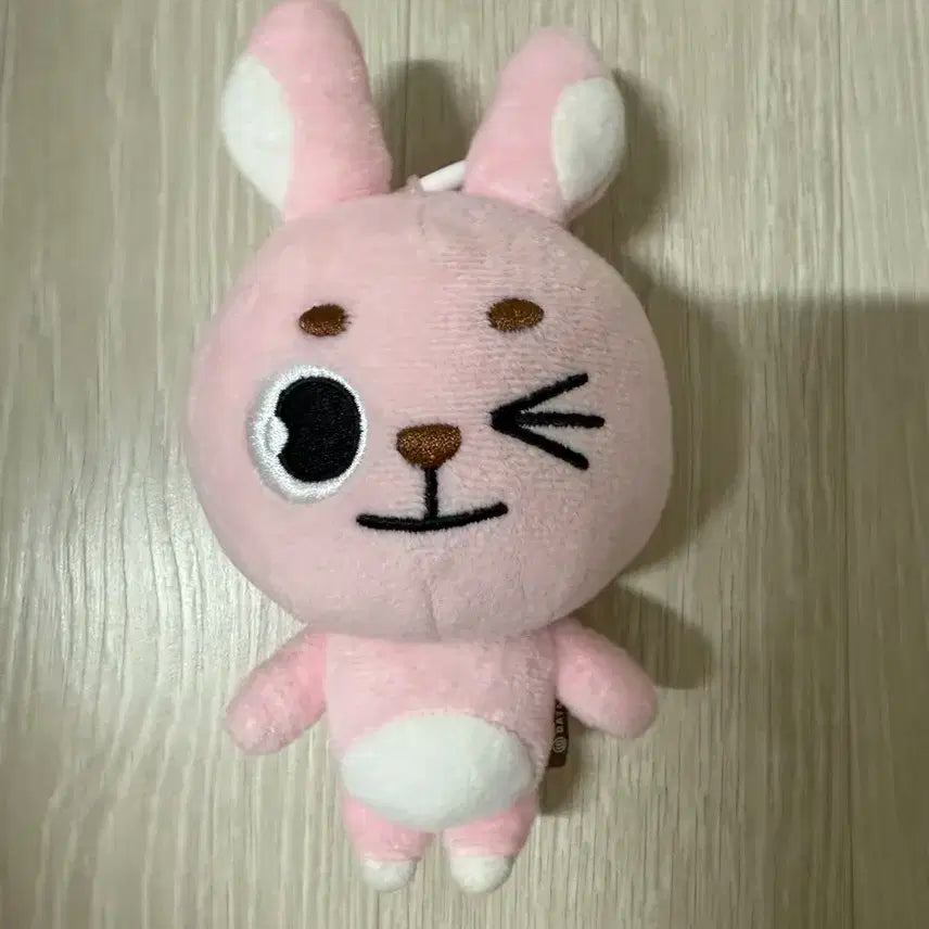 데이식스 19 필끼 윙크 필끼 2019 필 원필 데니멀즈