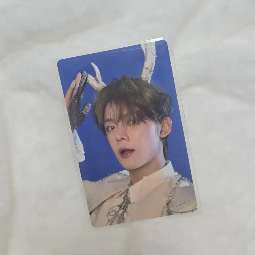 별의장 위버스재팬 연준포카 | 애프터글로우 럭드 투바투 황춘 뿔 카톡 껌