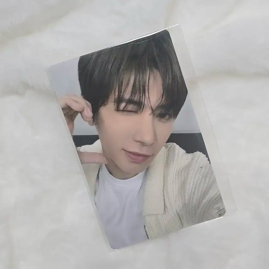 별의장 위버스재팬 럭드 태현포카 | 투바투 모아존 역조공 다고냥 뿔 엘지