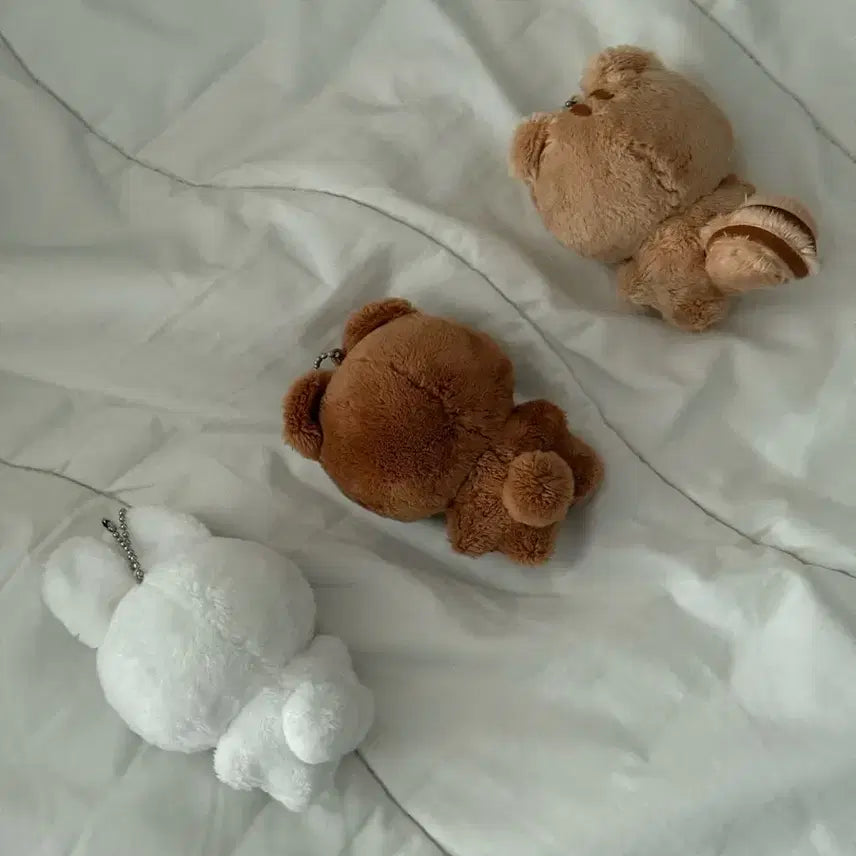 S급 뽀바투 말랑빈 뽀송밤 뽀송텬 일괄 양도합니다!