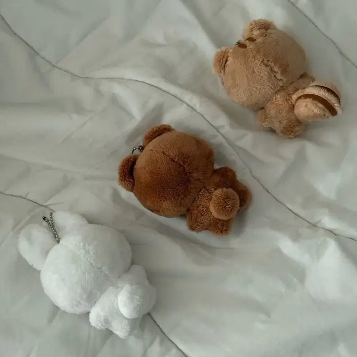 S급 뽀바투 말랑빈 뽀송밤 뽀송텬 일괄 양도합니다!