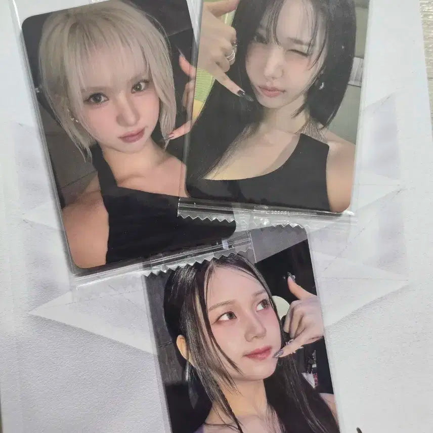 비비지 케타포 여보세요 미공포