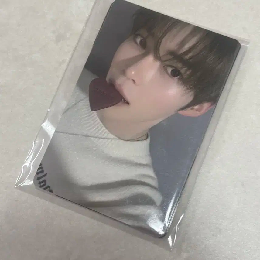 제베원 쿠키세트 포카