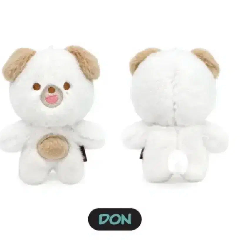 데이식스 쁘띠멀즈 돈 미개봉