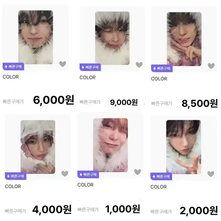 엔시티위시 컬러 nct wish color 포토북 포카 양도