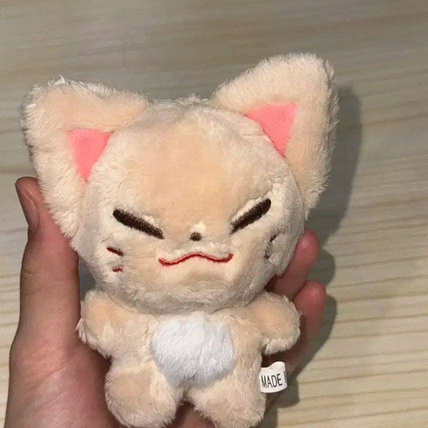 스키즈 아이엔 폭양이