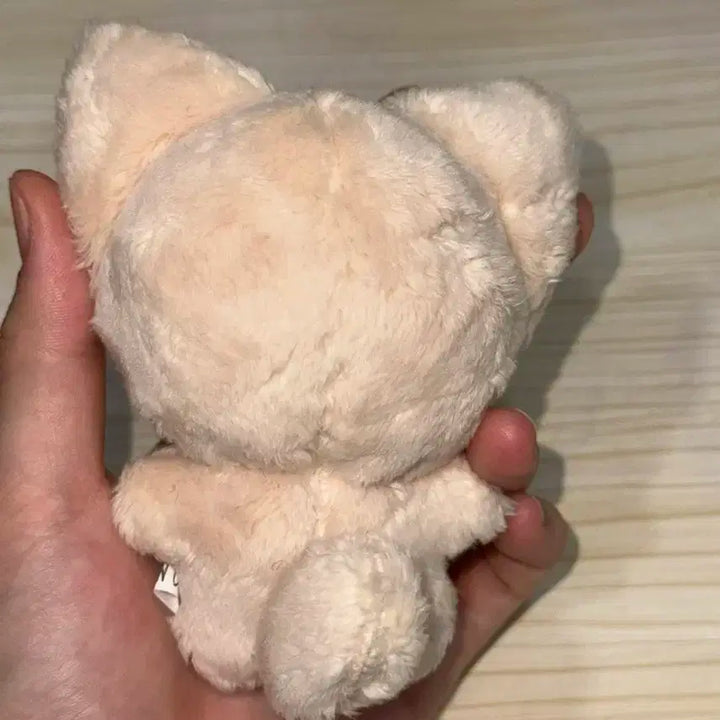 스키즈 아이엔 폭양이