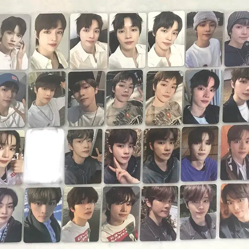 라이즈 성찬 포카 59장 결제창